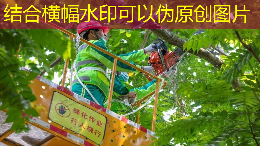 太原康培园林绿化工程绿化部