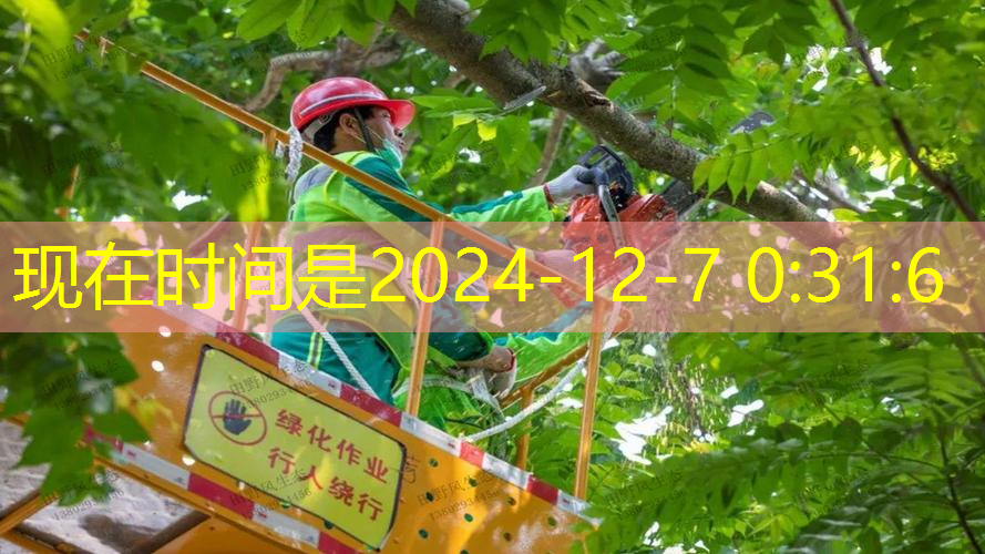 办公楼前坪园林景观设计