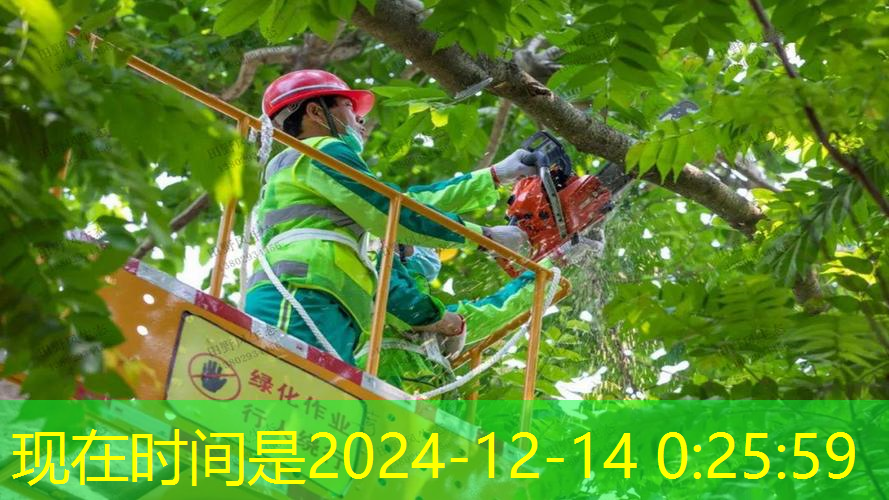 枝江市政绿化工程经营范围