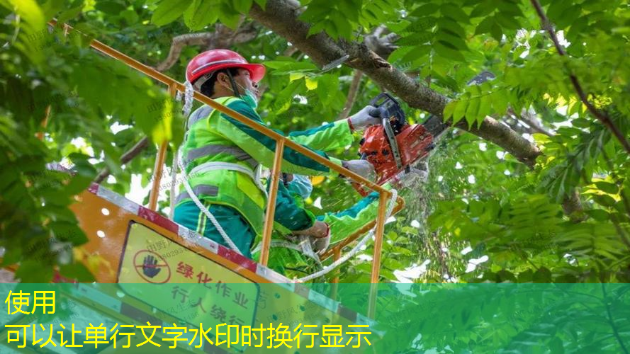 徐汇区垂直绿化工程供应商