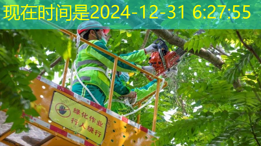 天水东艺四季绿化工工程