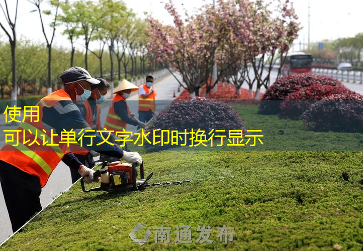 汉川城市绿化常用的植物和花