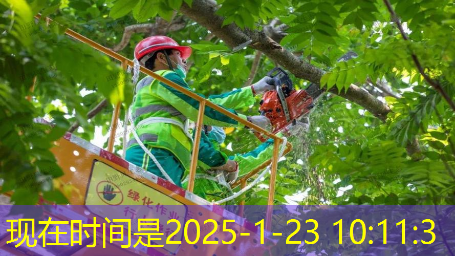 水网绿化工程施工流程表