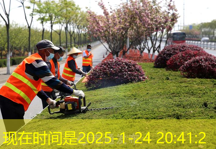 宁国园林绿化有限公司徐航