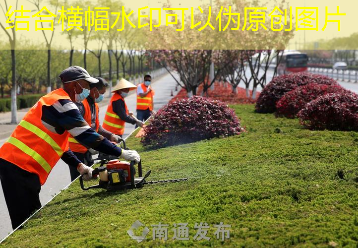 武穴绿化和市容工程站