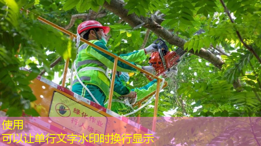 会宁县关川百户园林绿化工程