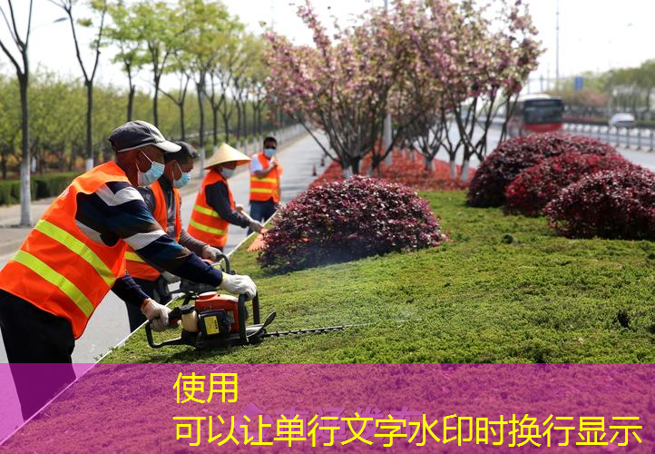园林管理中的脆弱环节：服务人员专业素养短板待修复。