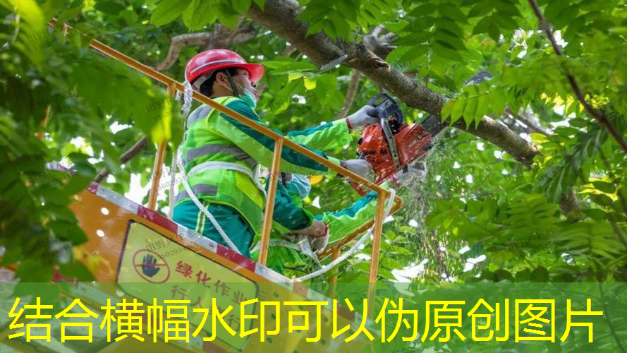 现代主义园林景观设计风格