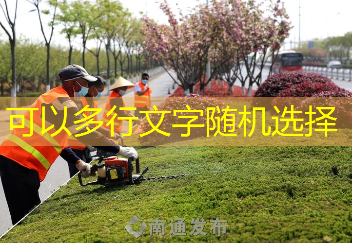 苗木采购在绿化工程中