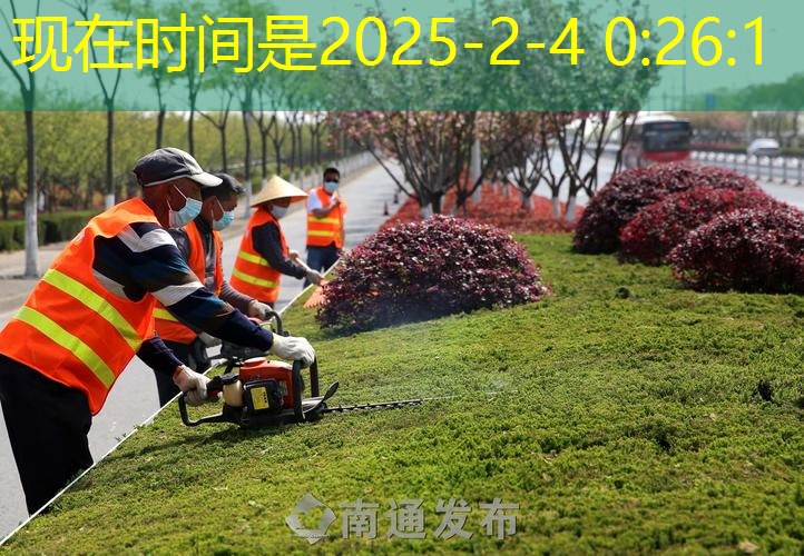绿化工程小苗地被