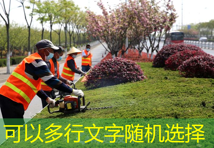商住小区绿化工程承包合同