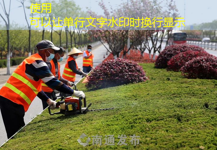 洛阳水环境修复绿化工程