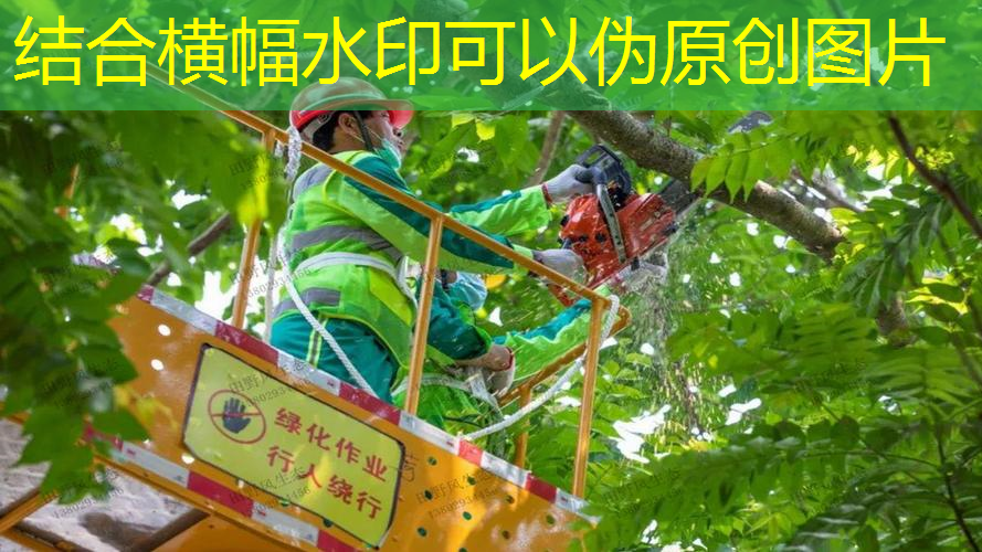 2栋别墅园林景观设计方案