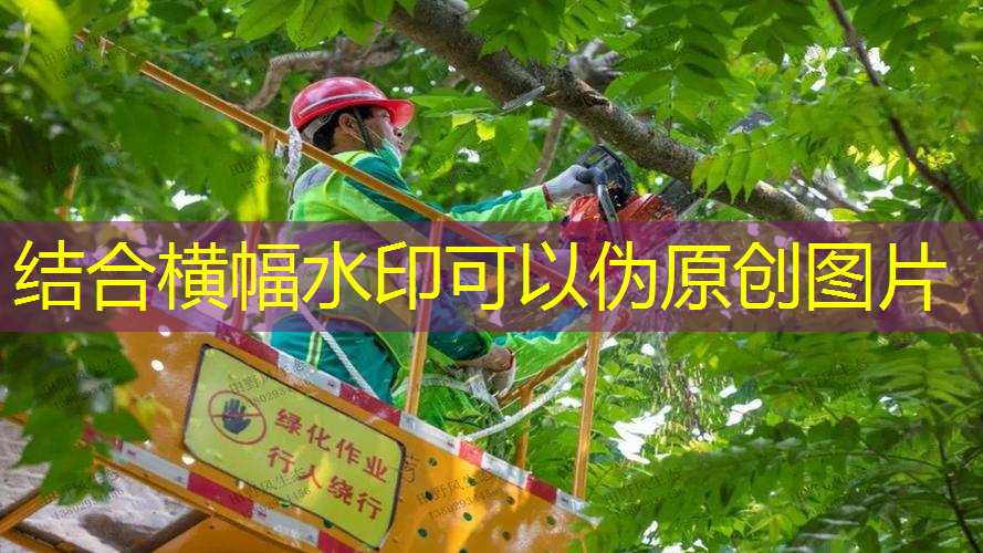公寓怎样做园林景观设计