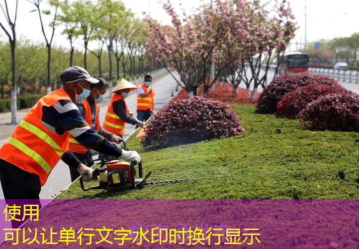 管理上的疏漏导致园林景观质量下降，公众呼吁改进
