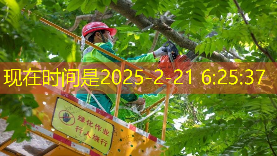 200平农村园林景观设计