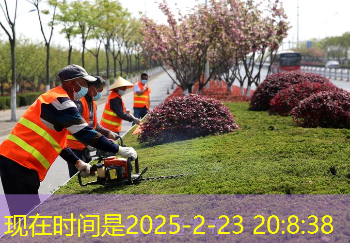 南阳市七一路绿化工程