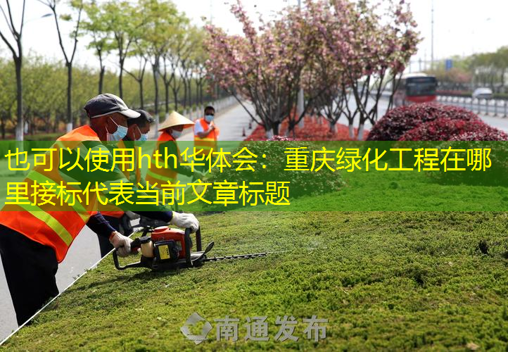 重庆绿化工程在哪里接标