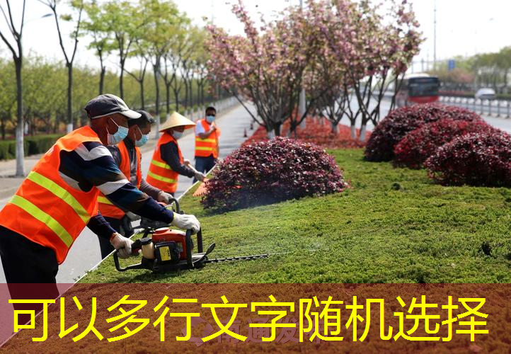 园林绿化工程开复工培训落幕