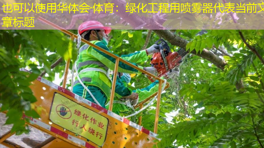 绿化工程用喷雾器
