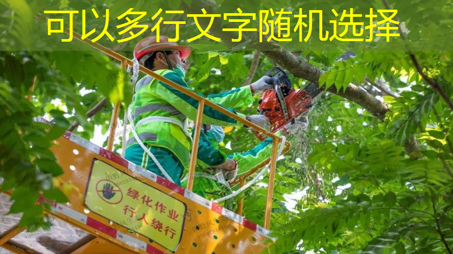80平米园林景观设计