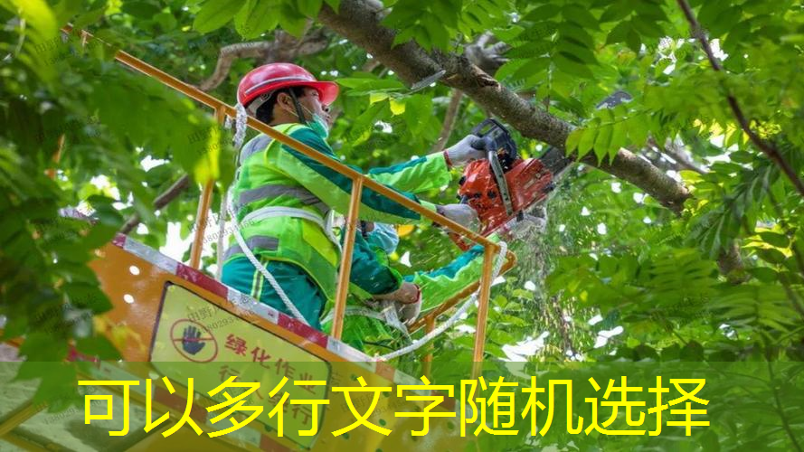 王洋绿化工程