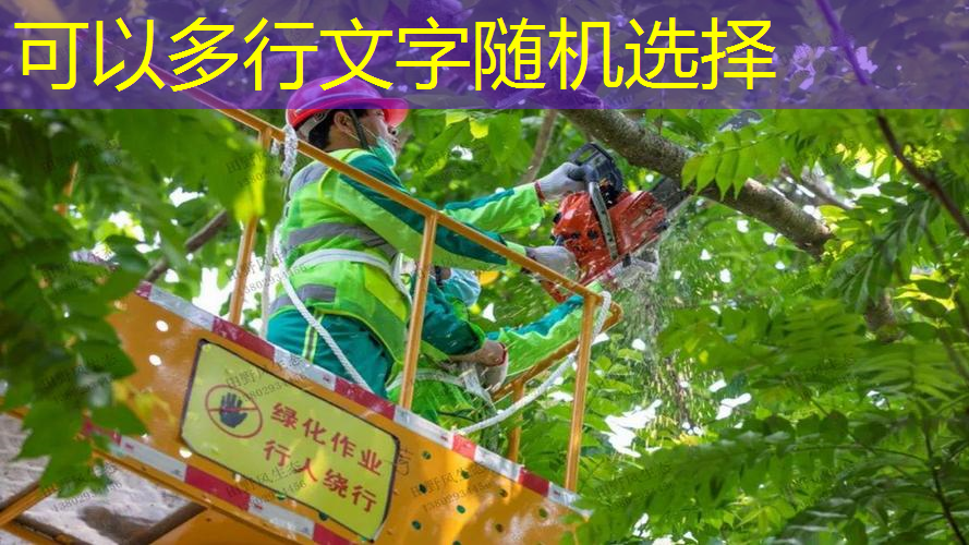 青岛即将开工的超级最大绿化工程