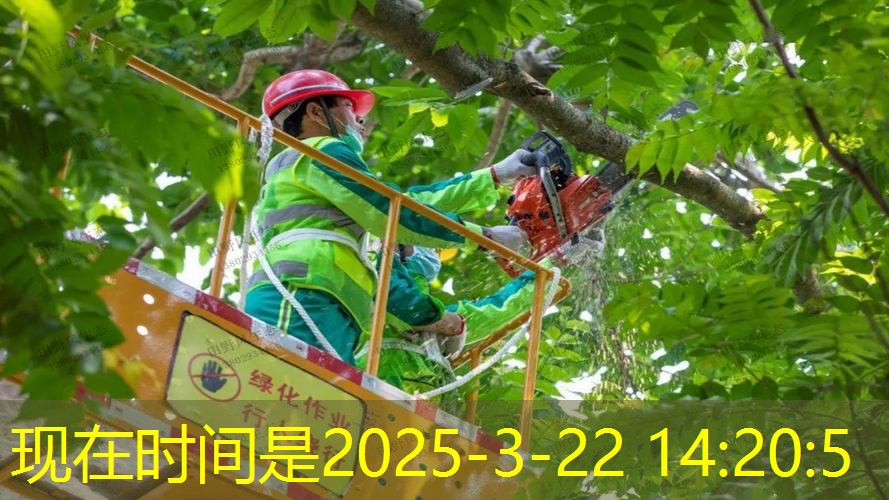 绿化景观色设计引领室内外空间的完美融合。
