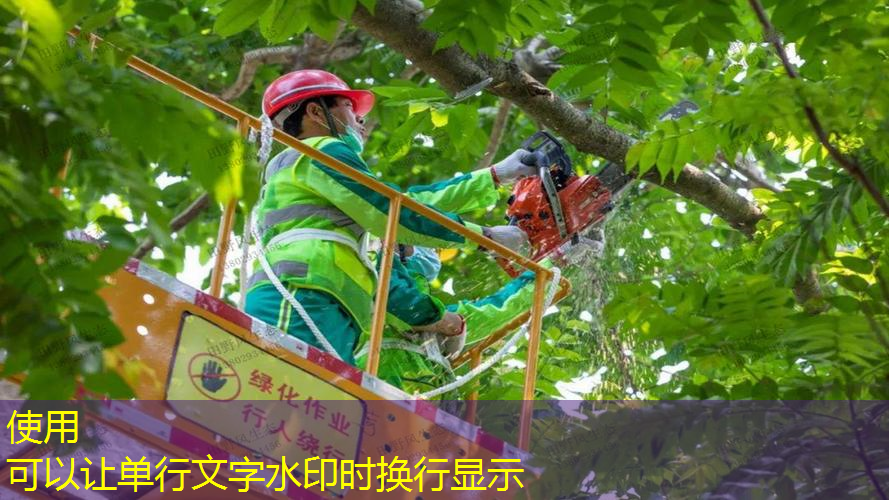 园林工程质量监测站的质量检验评定划分