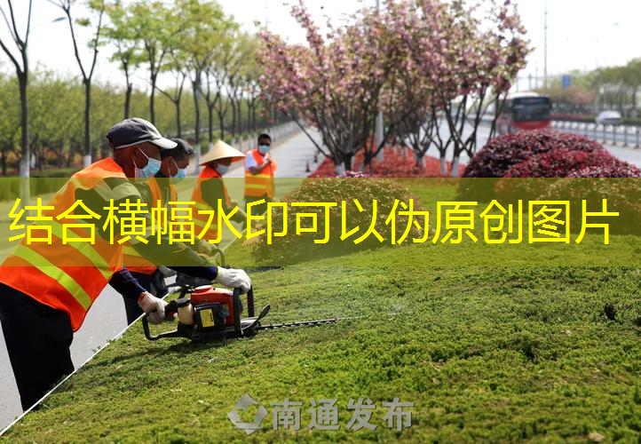 阴阳阳台绿化养护技巧大揭秘