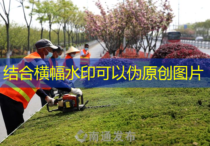 国外高尔夫球场绿化工程