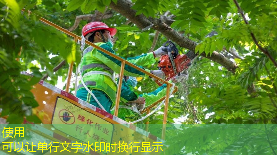 榆林园林绿化工程外包