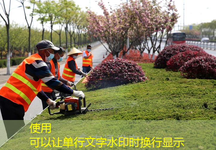 迈阿密绿化工程项目