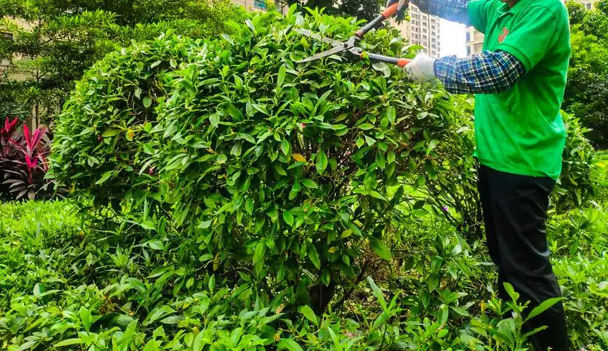 2千平园林景观设计