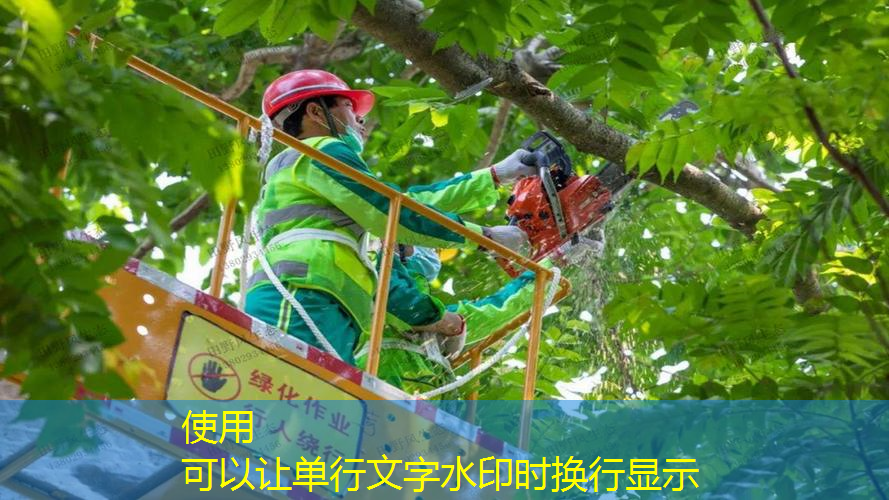 半圆场地园林景观设计
