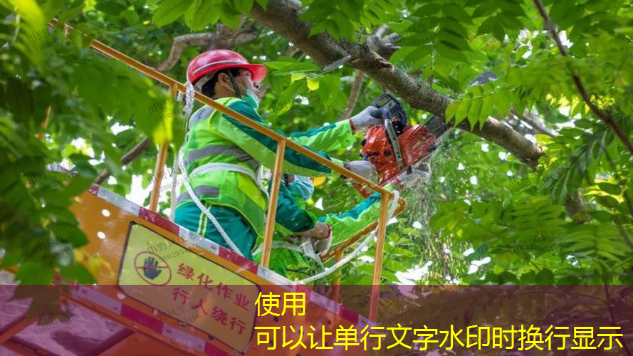绿化景观色设计：打造活力四溢的商业街区。