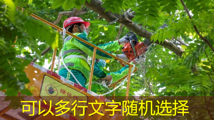 校园园林管理者解读绿色微观：打造学生心灵栖息之地