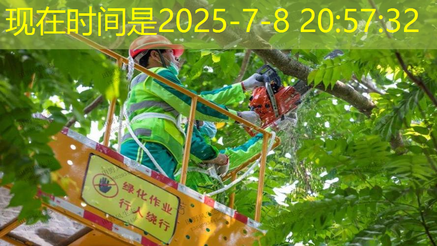 绿化工程造价预算定额怎么算